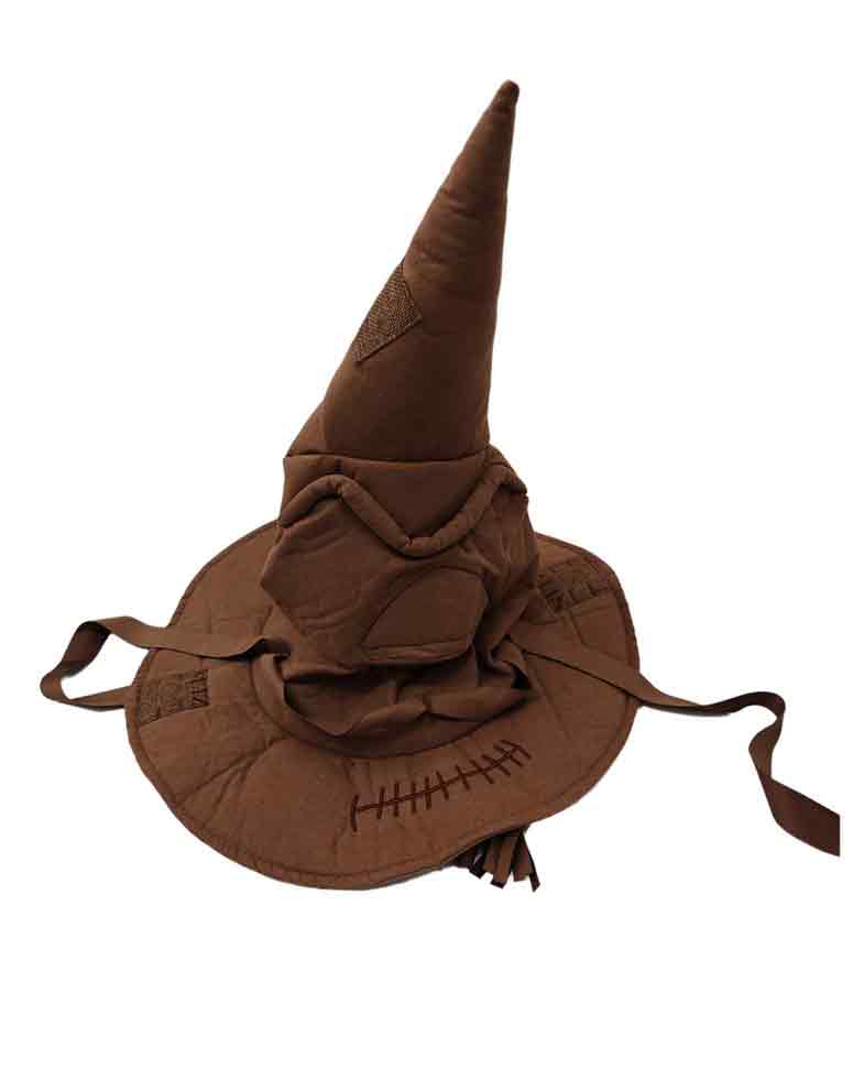 Sorting Hat - Harry Potter
