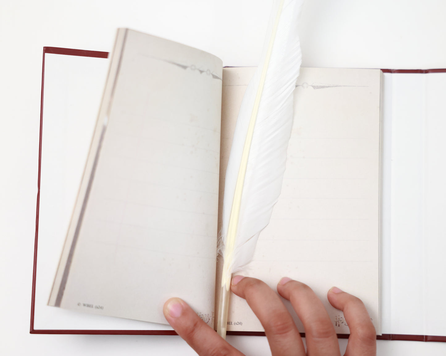 Gryffindor Diary - Harry Potter