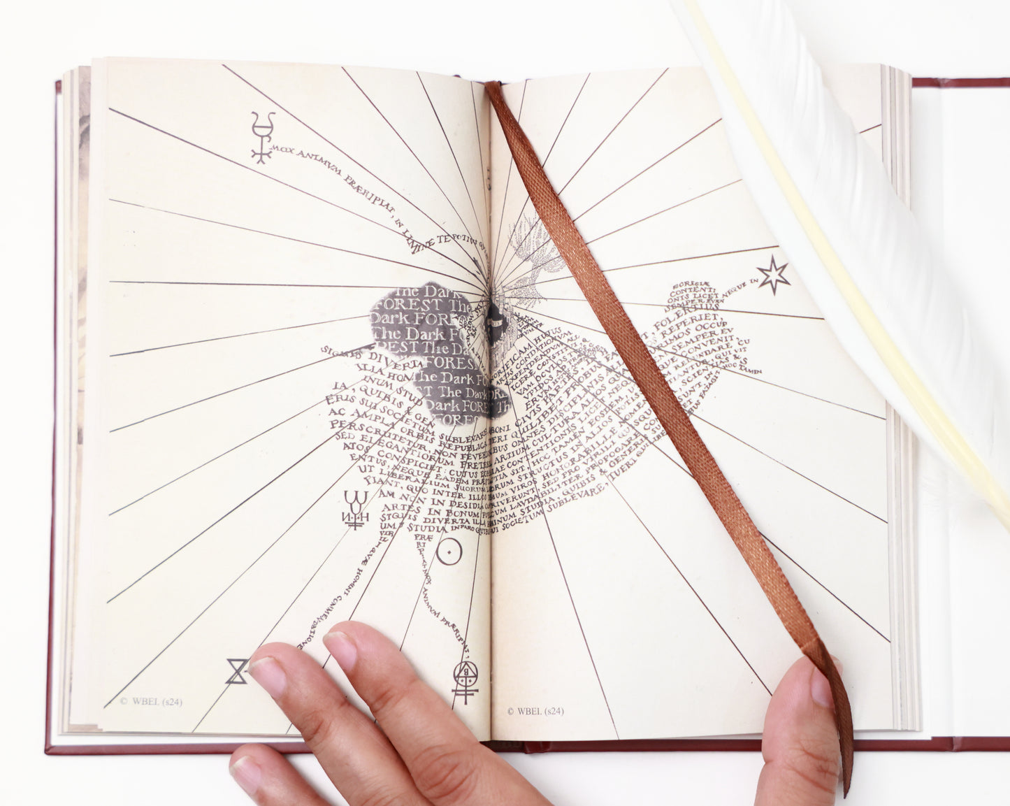 Gryffindor Diary - Harry Potter
