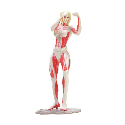 Female Titan (12 cm) | Attack on Titan