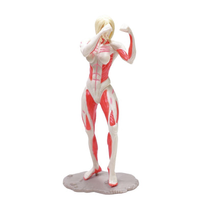 Female Titan (12 cm) | Attack on Titan