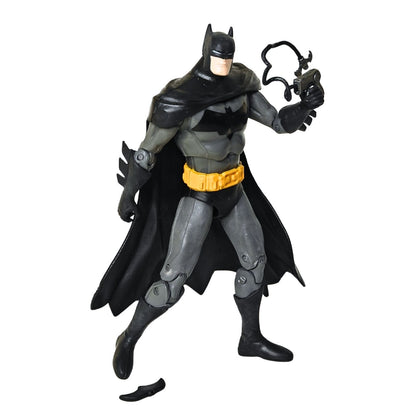 Batman Multiverse - Poseable Figure (19 cm)