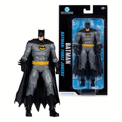 Batman Multiverse - Poseable Figure (19 cm)