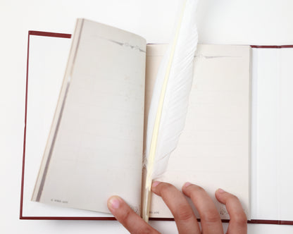 Gryffindor Diary - Harry Potter