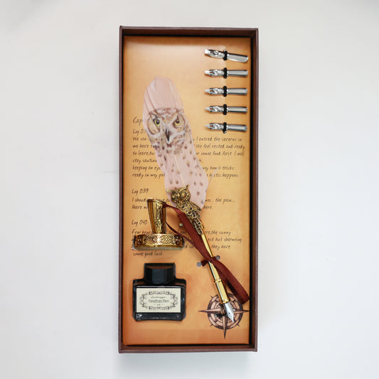Harry Potter Owl Feather Pen with Stand, Ink & 5 Calligraphy Nibs