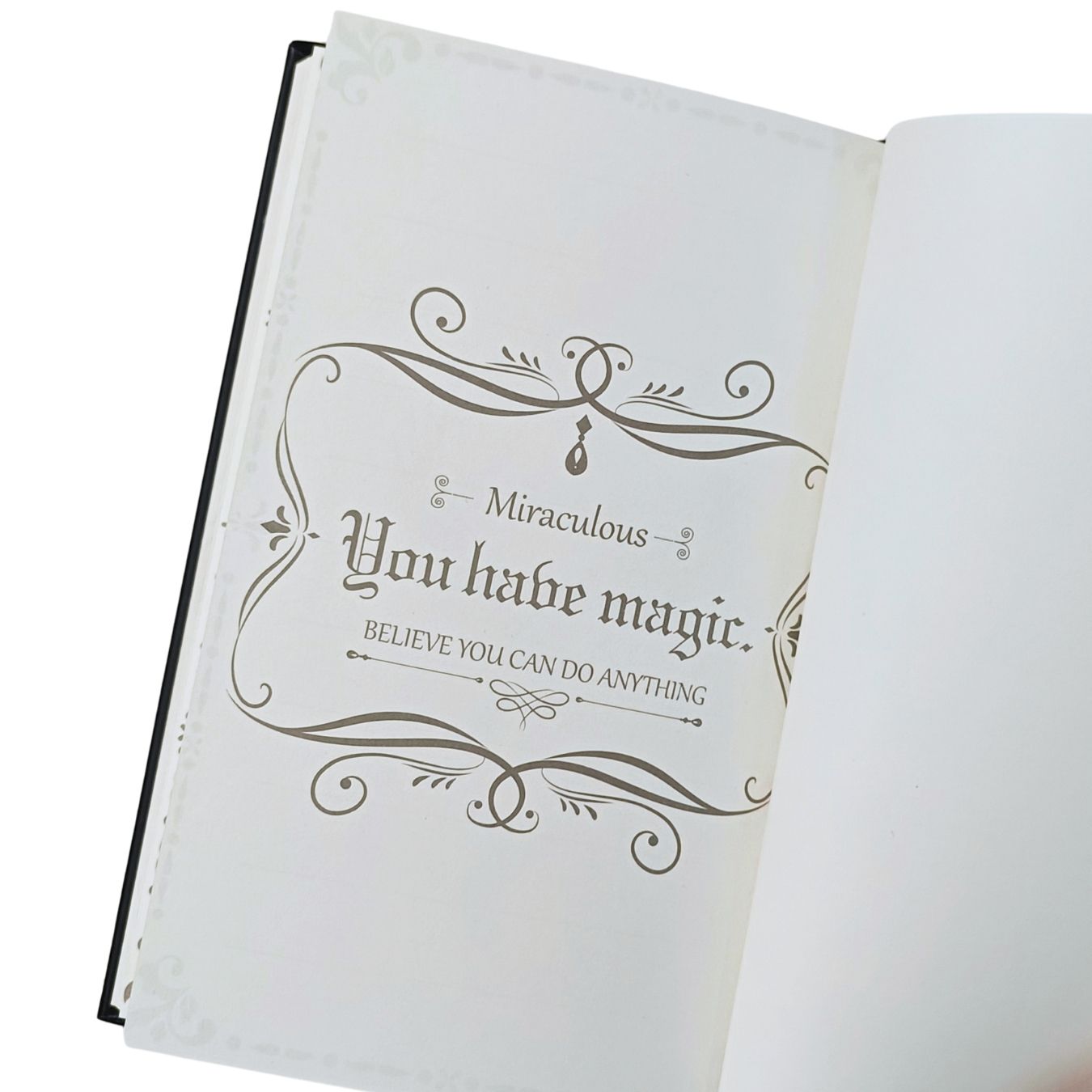 Harry Potter Snitch - Fold Hard Cover Diary