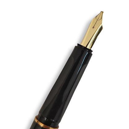 Beginners' Calligraphy Set - 3 Nibs & 3 Ink Cartridges