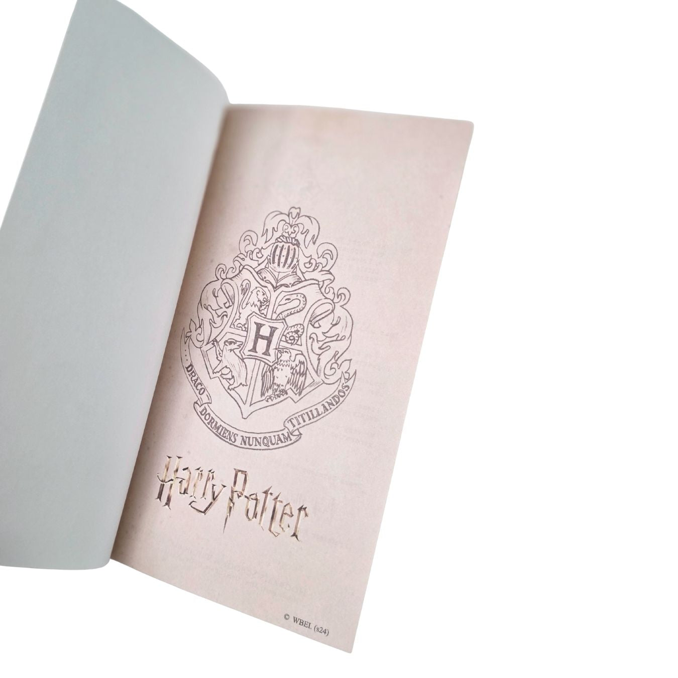 Harry Potter - Hogwarts Tri-Fold Hard-Cover Illustrated Diary (17*11 cm)