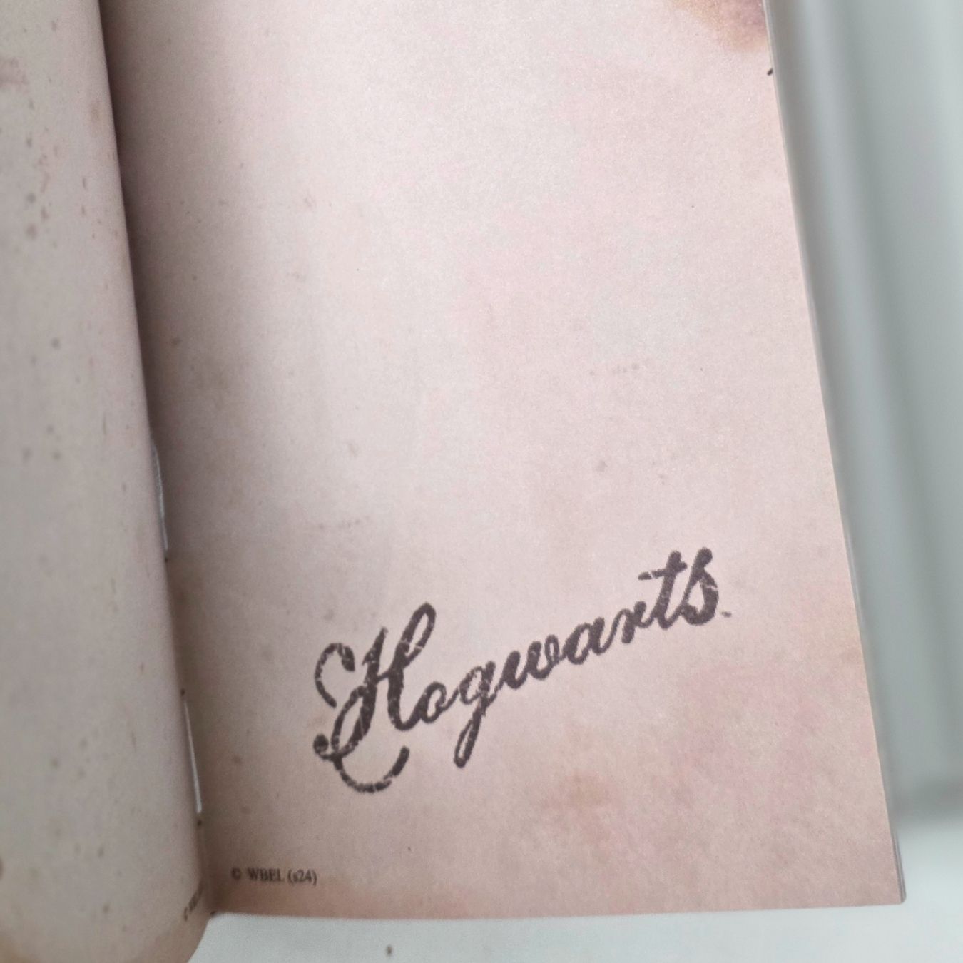 Harry Potter - Hogwarts Tri-Fold Hard-Cover Illustrated Diary (17*11 cm)