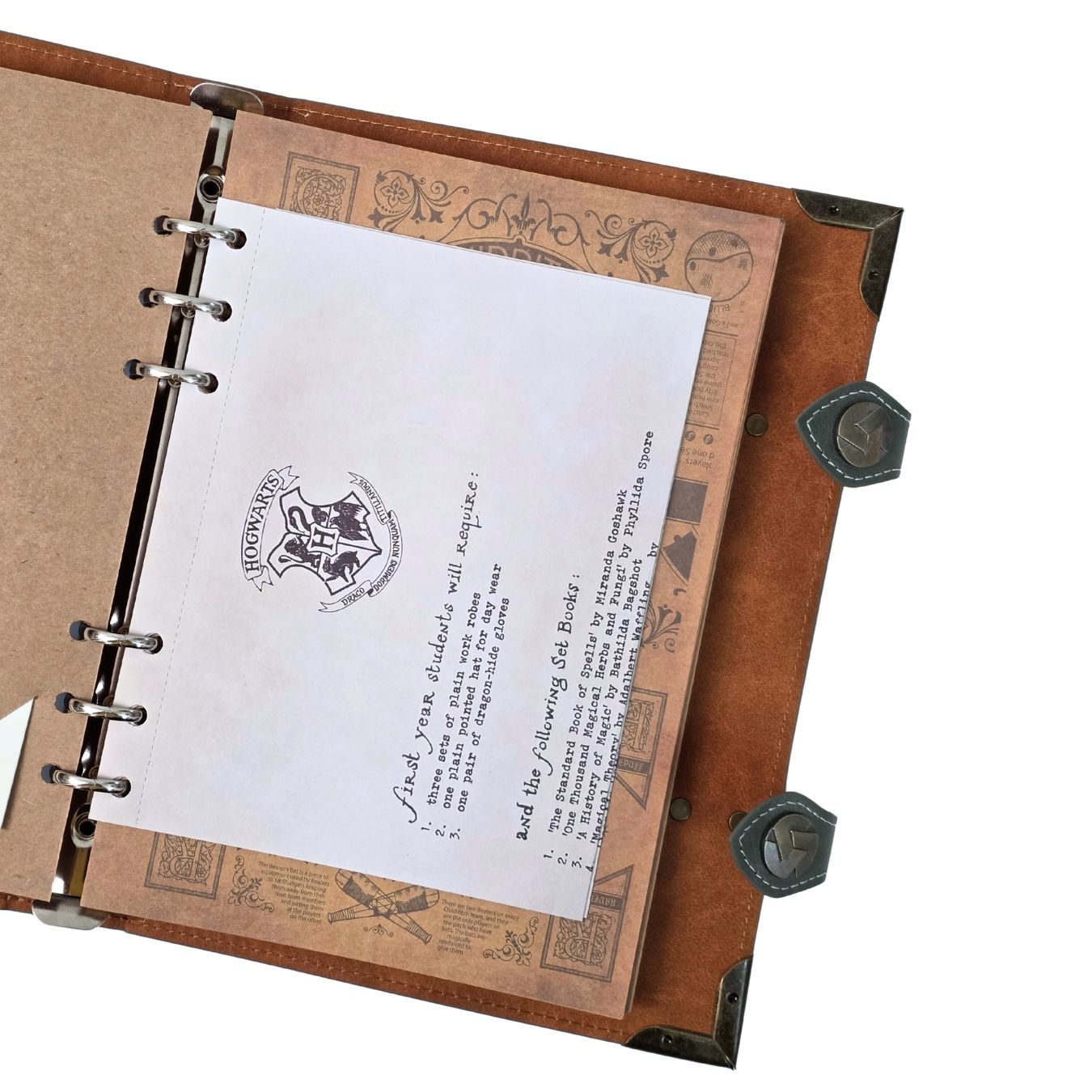 Harry Potter - Slytherin File-Folder Style Illustrated Premium Diary (23*118 cm)